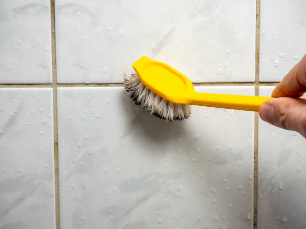 Certified Mold Removal in Bartlett, TX