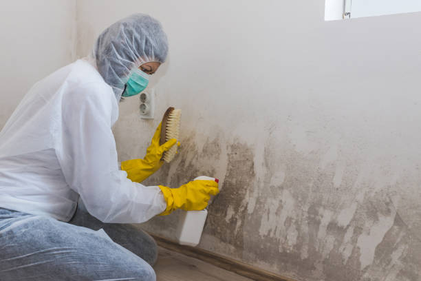 Water Damage Restoration in Bartlett, TX