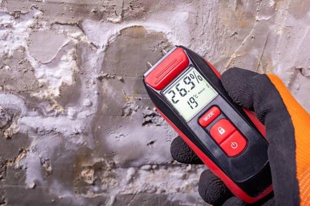 Trusted Bartlett, TX Mold Removal Experts