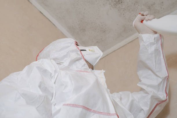 Best Emergency Mold Removal  in Bartlett, TX
