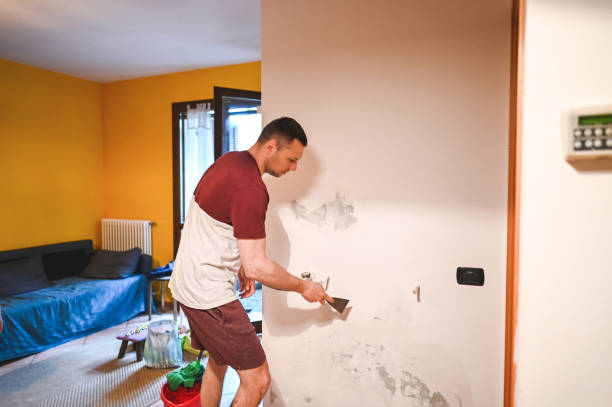 Best Attic Mold Removal  in Bartlett, TX