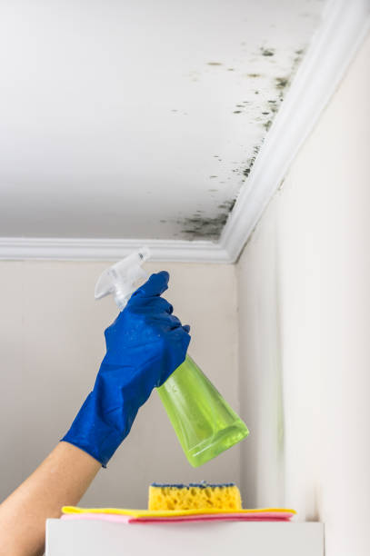 Best Mold Testing  in Bartlett, TX
